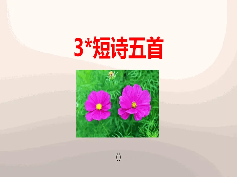 PPT内页预览