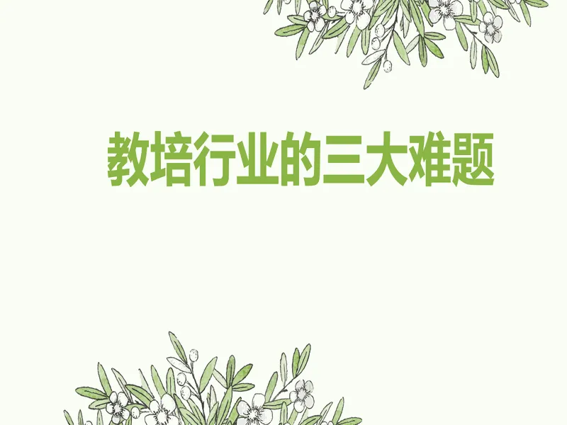 PPT内页预览