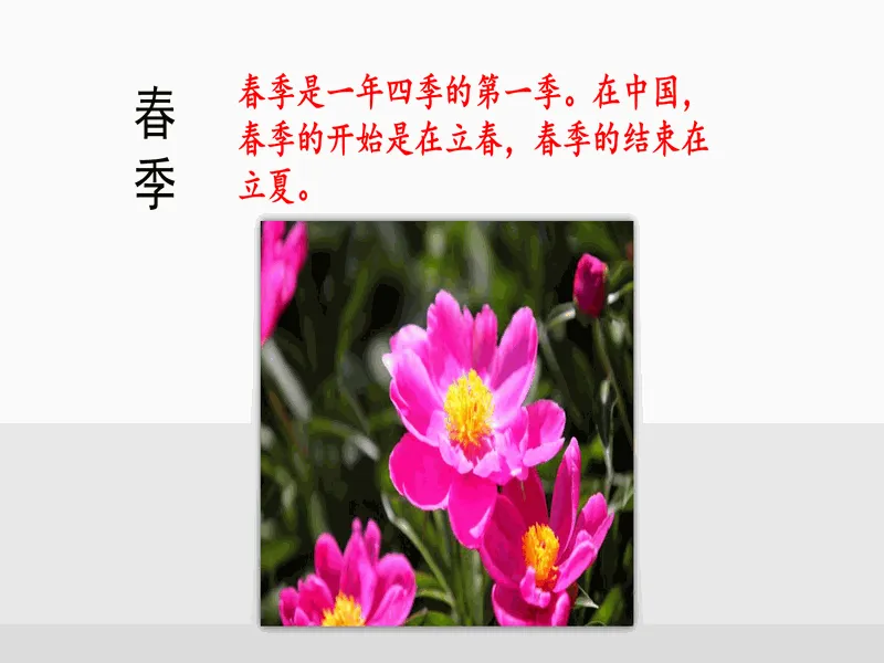 PPT内页预览