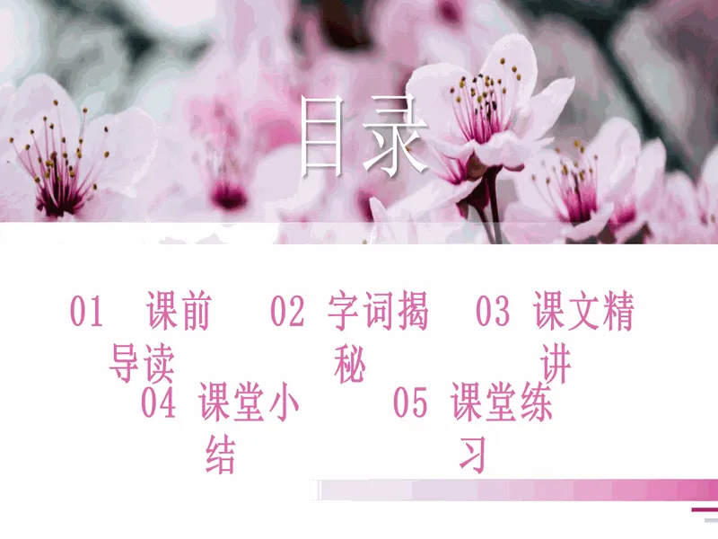 PPT内页预览