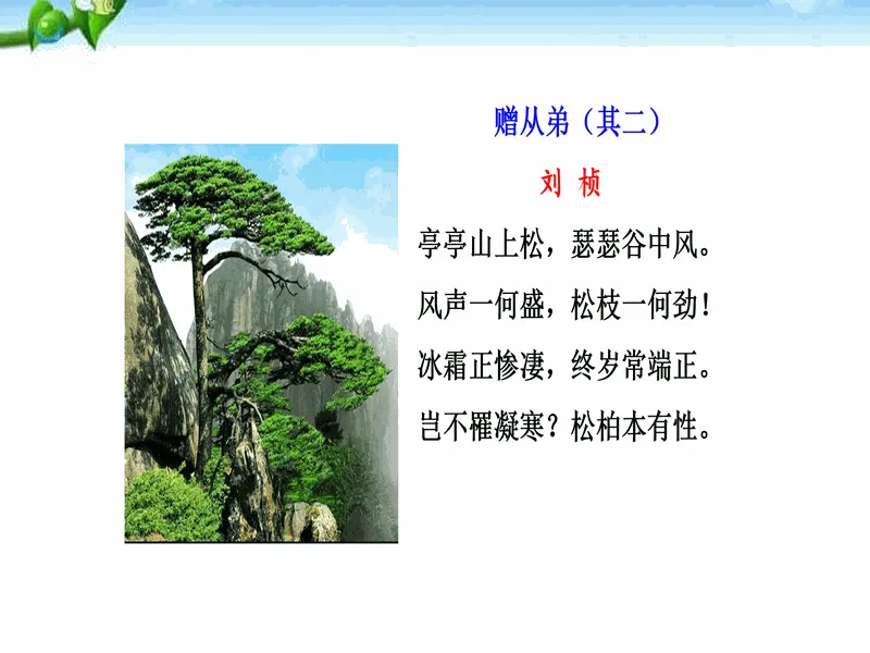 PPT内页预览