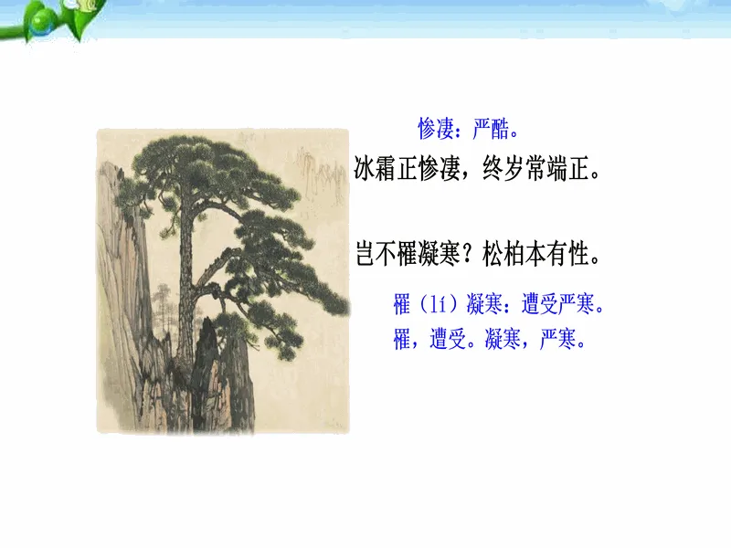 PPT内页预览