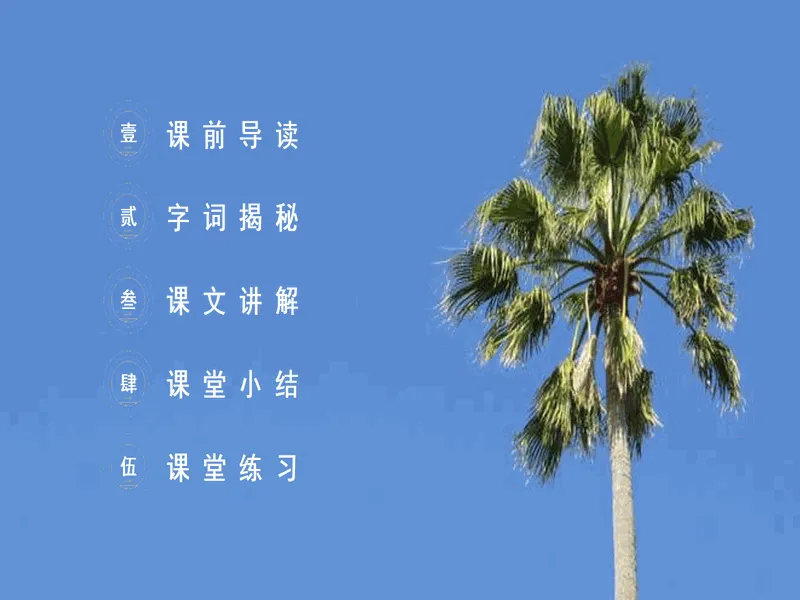 PPT内页预览