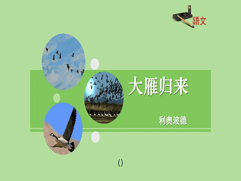 PPT内页预览