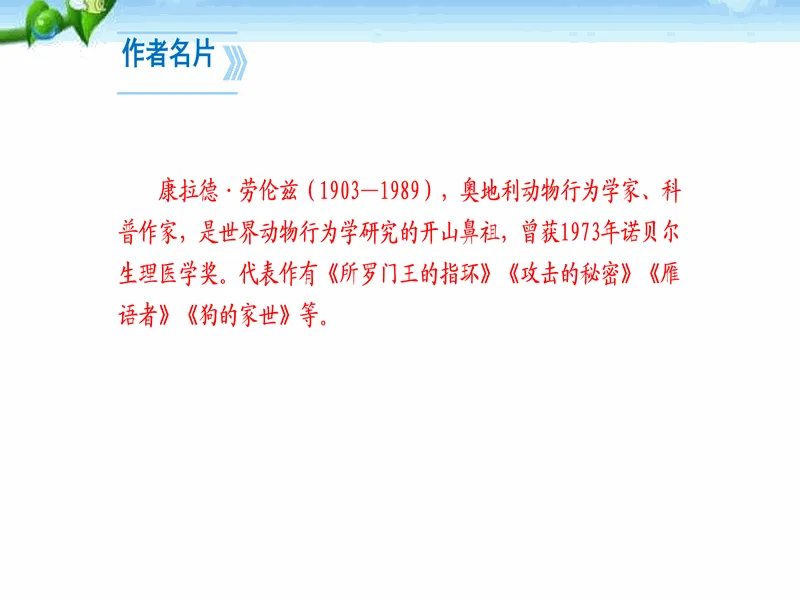 PPT内页预览