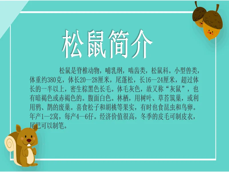 PPT内页预览