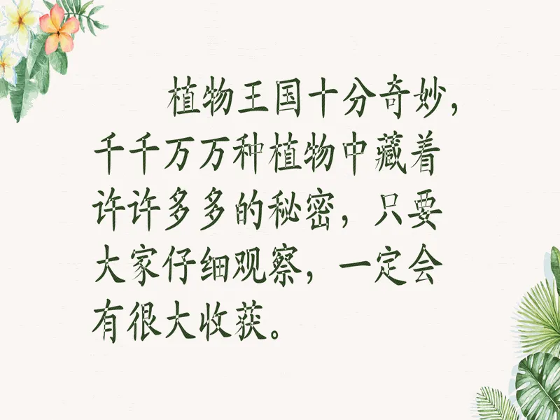 PPT内页预览
