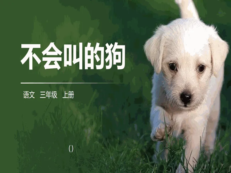 PPT内页预览
