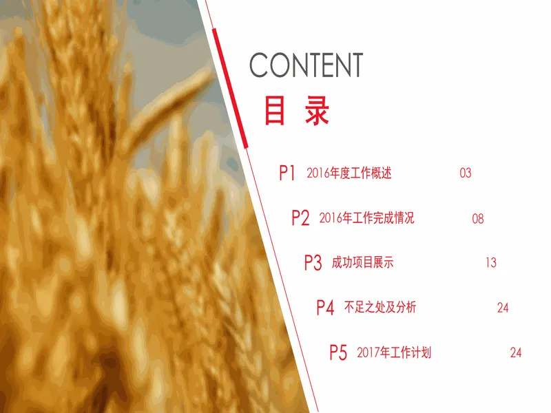 PPT内页预览