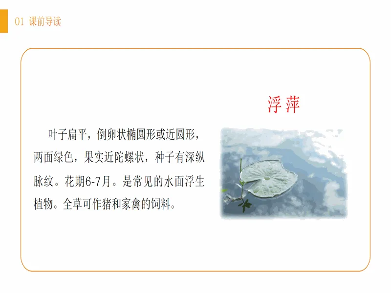 PPT内页预览