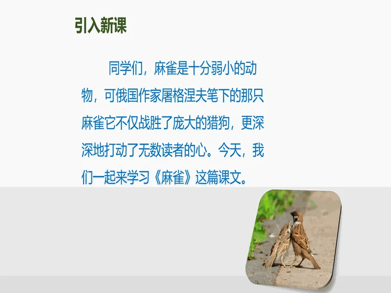 PPT内页预览