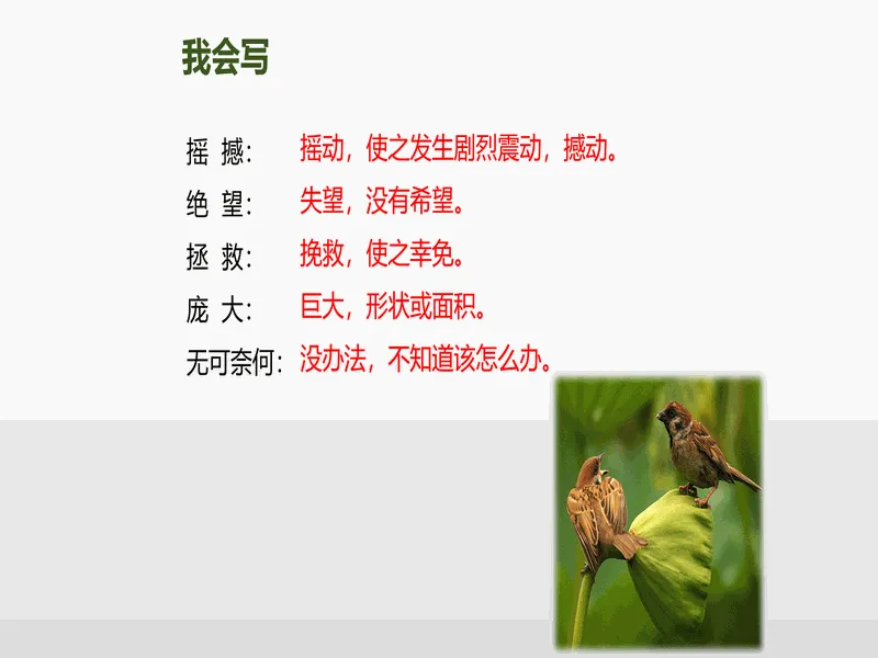 PPT内页预览