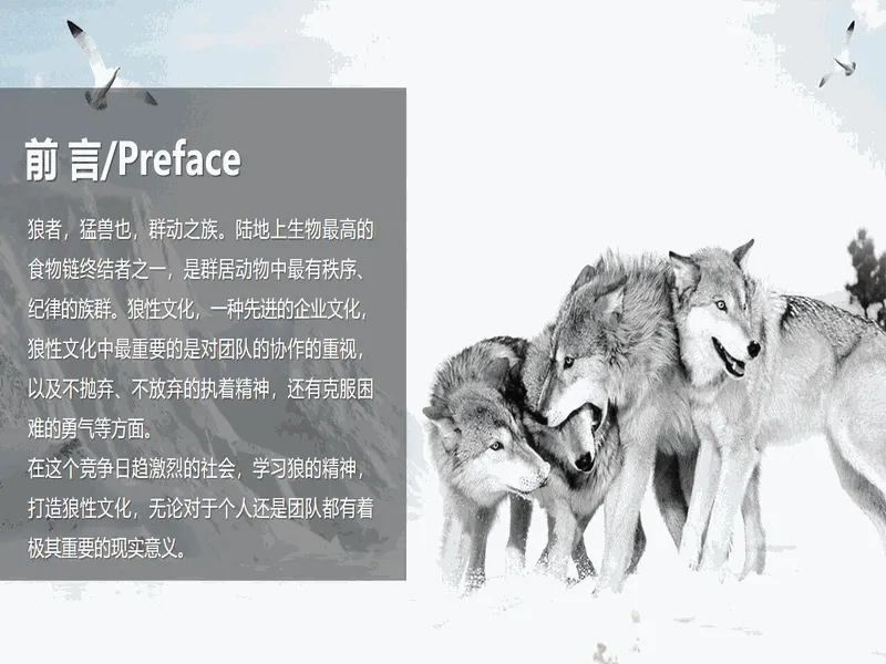 PPT内页预览