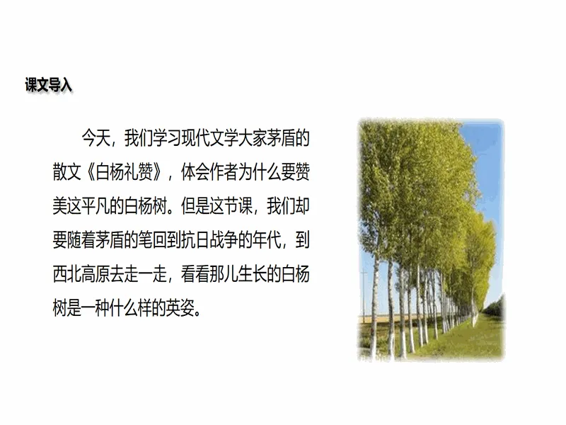 PPT内页预览