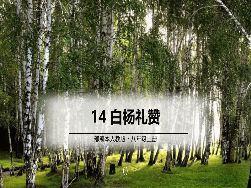 PPT内页预览
