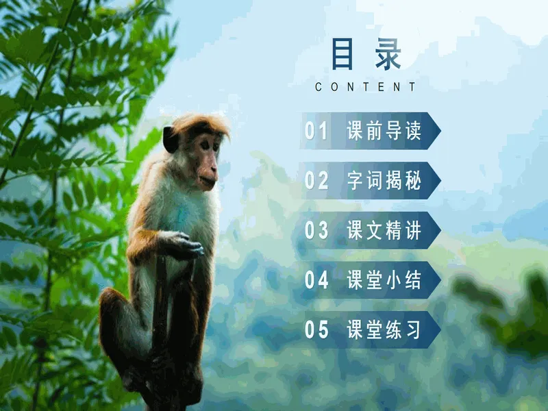 PPT内页预览