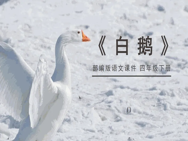 PPT内页预览