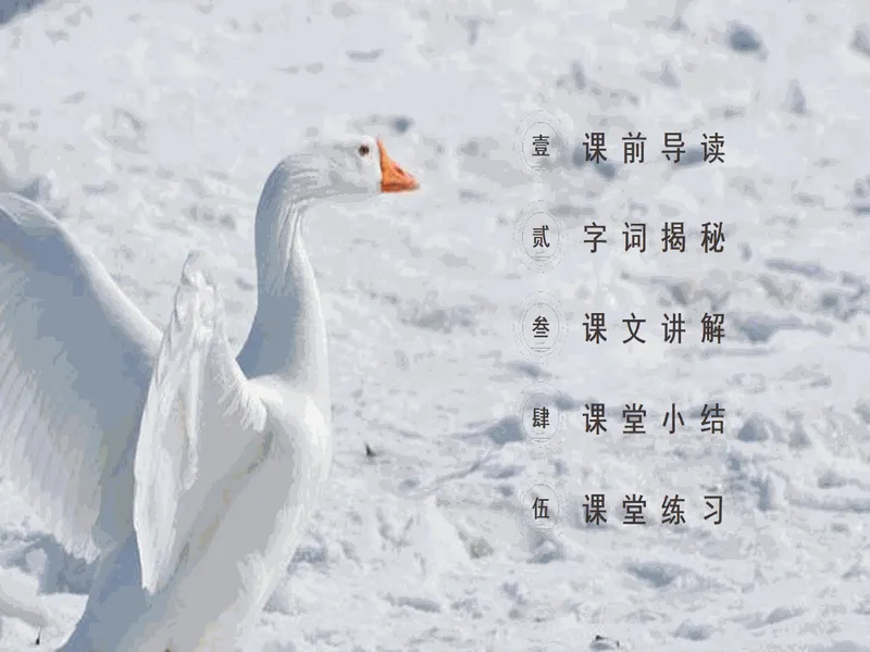 PPT内页预览