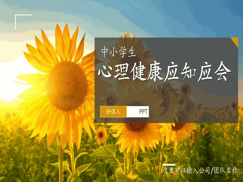 PPT内页预览