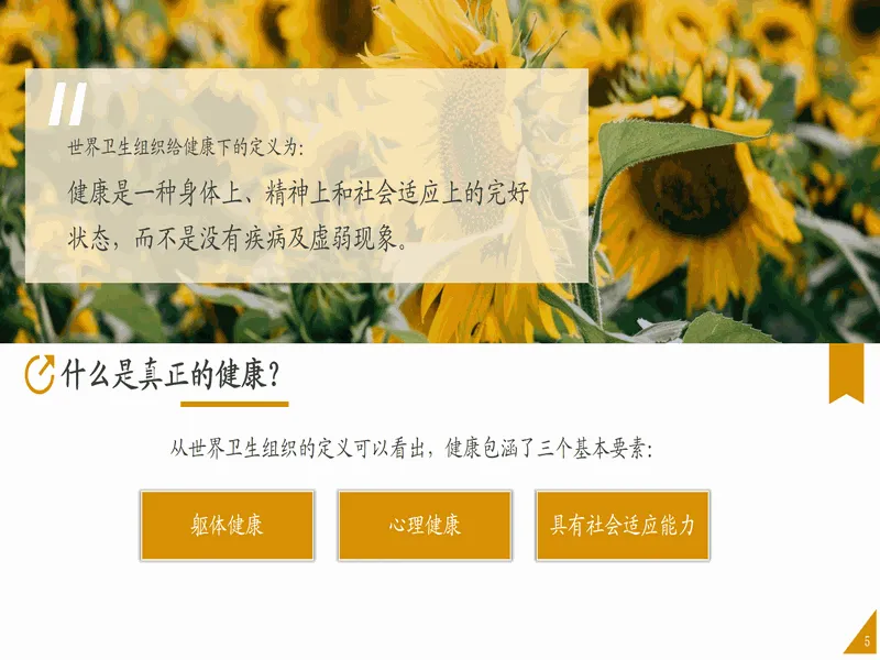 PPT内页预览