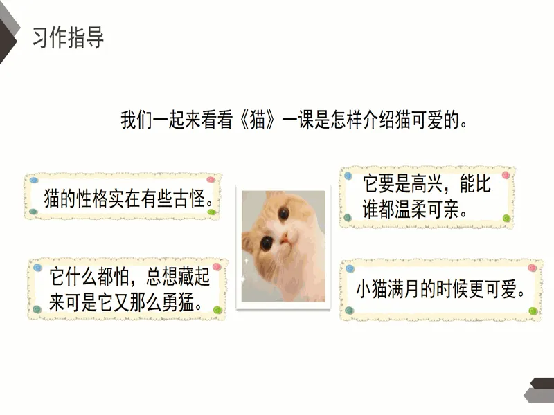 PPT内页预览