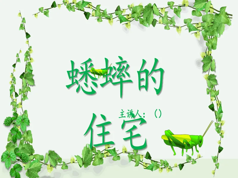 PPT内页预览