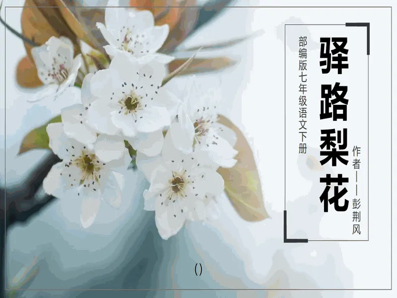 PPT内页预览