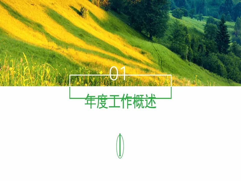 PPT内页预览