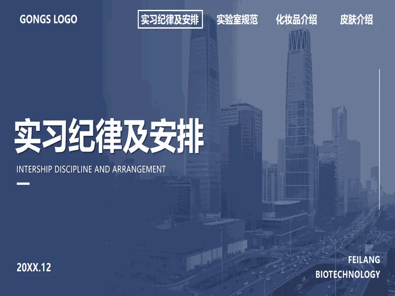 PPT内页预览