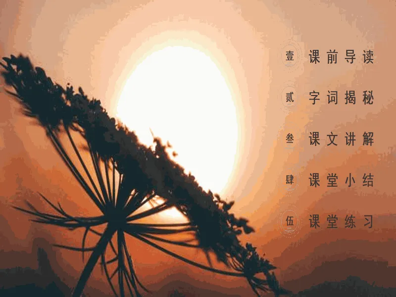 PPT内页预览