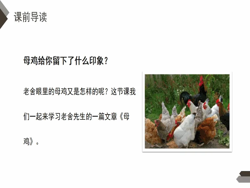 PPT内页预览