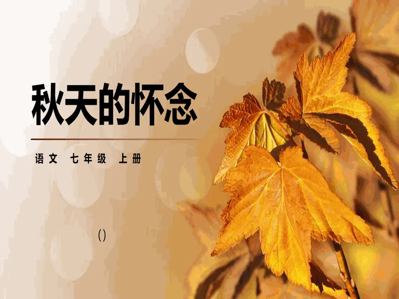 PPT内页预览