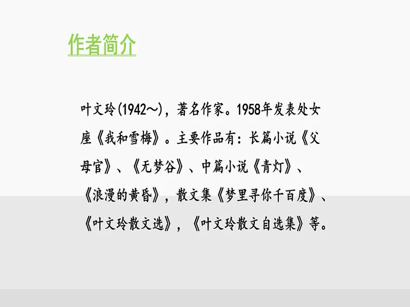 PPT内页预览