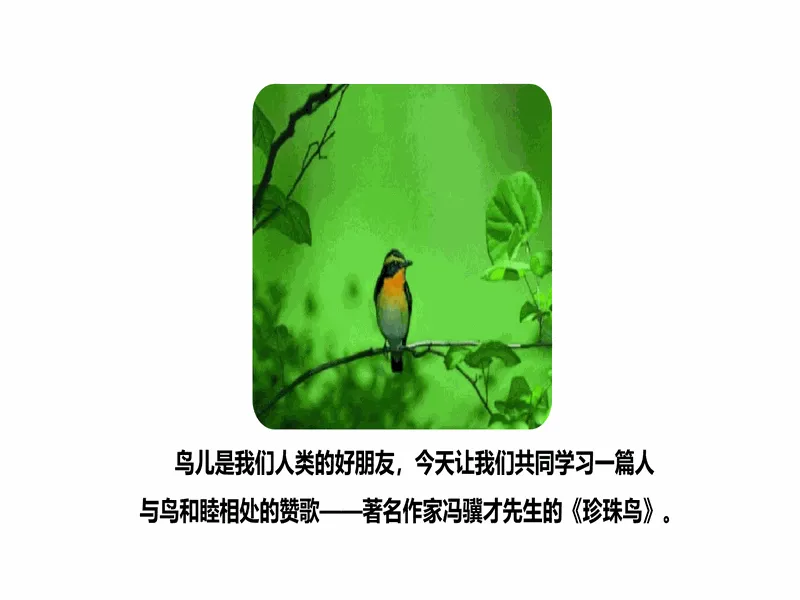 PPT内页预览