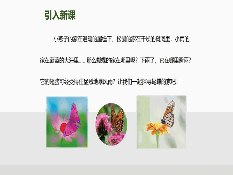 PPT内页预览
