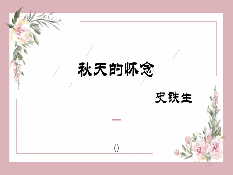 PPT内页预览