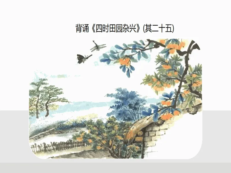 PPT内页预览