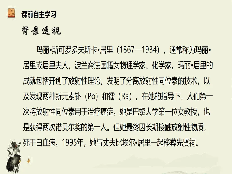 PPT内页预览