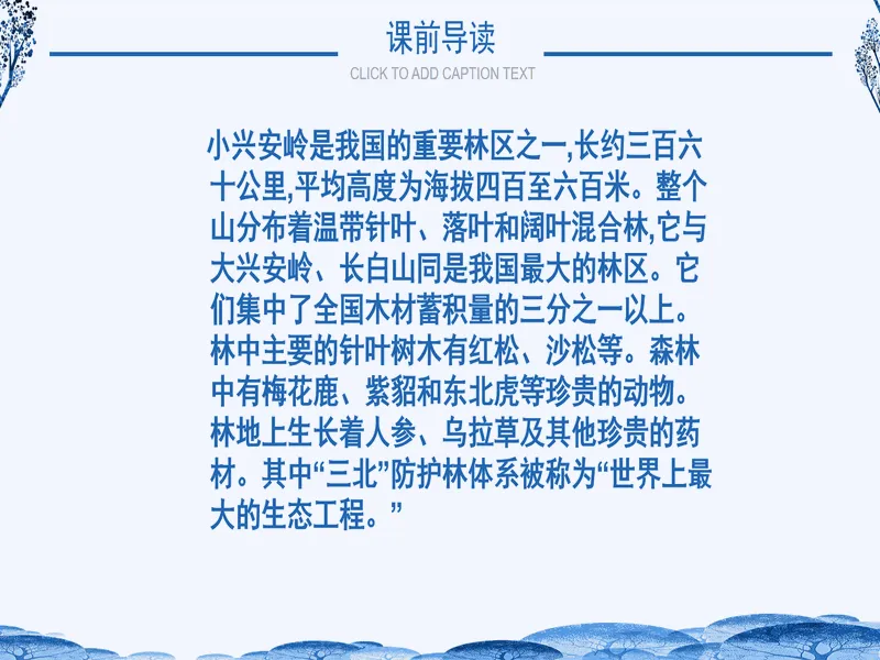 PPT内页预览