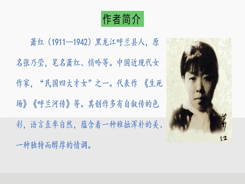 PPT内页预览