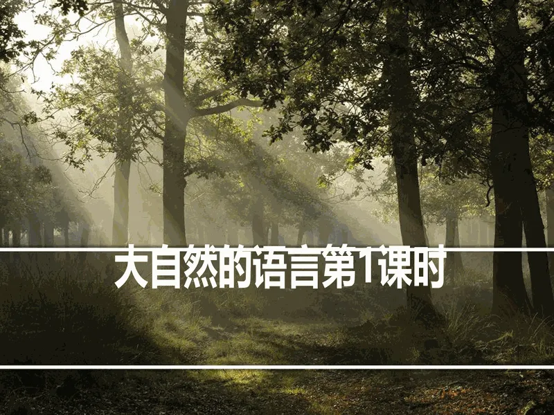 PPT内页预览