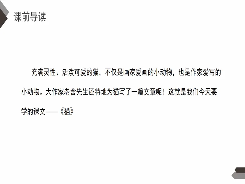 PPT内页预览