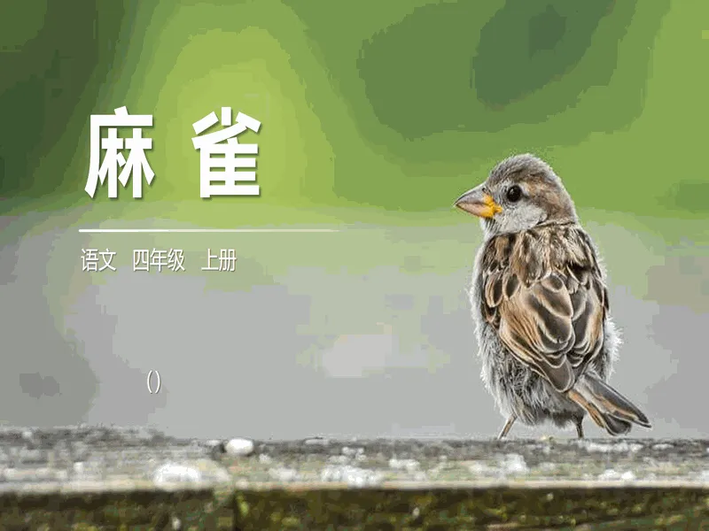 PPT内页预览