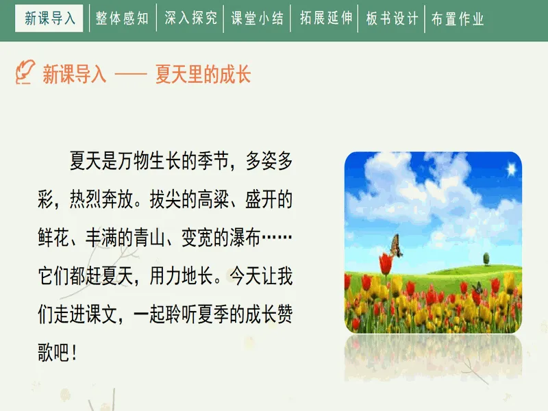 PPT内页预览