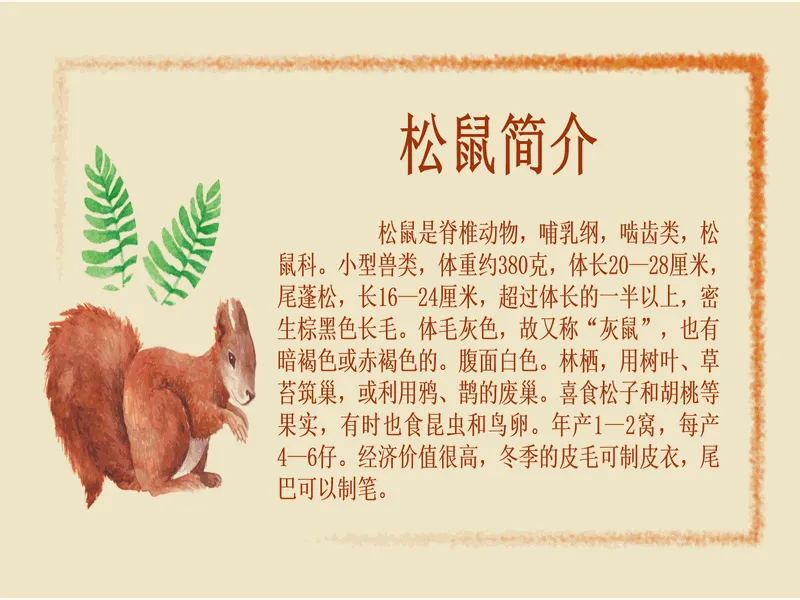 PPT内页预览