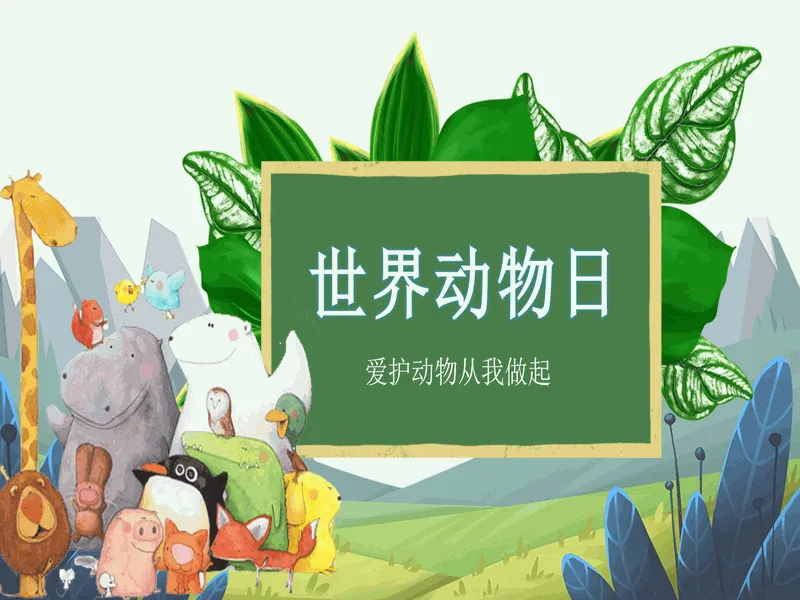 PPT内页预览