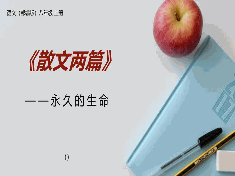 PPT内页预览