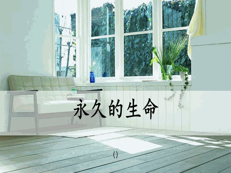 PPT内页预览