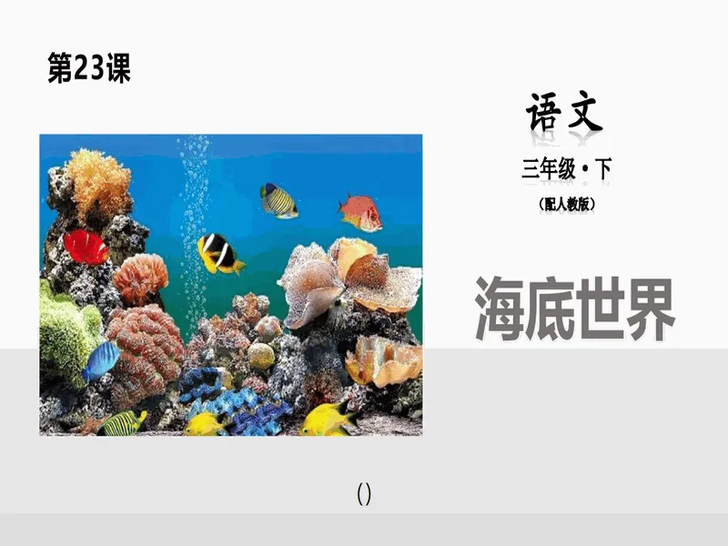 PPT内页预览
