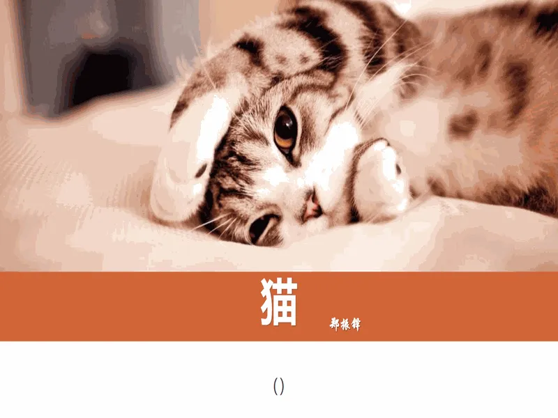 PPT内页预览